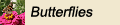 Butterfly Gardens