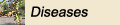 Diseases