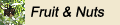 Fruit and Nut Trees