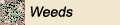 Weeds