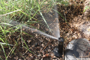 How to install your own sprinkler system, step by step instructions