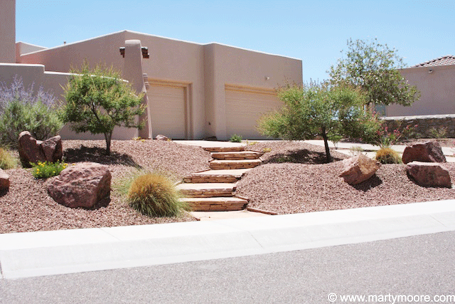 Ideas - Pictures of Landscape Designs in the Desert Southwest ...