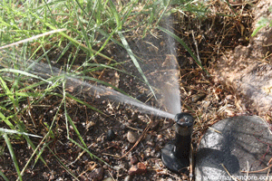 Pop-up sprinkler