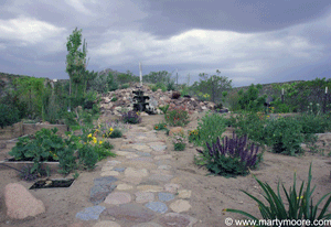 Pond and garden