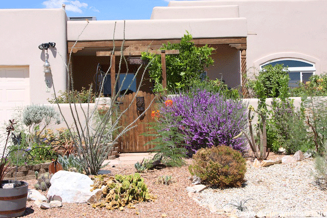 Garden Landscape Ideas - Pictures of Landscape Designs in the Desert